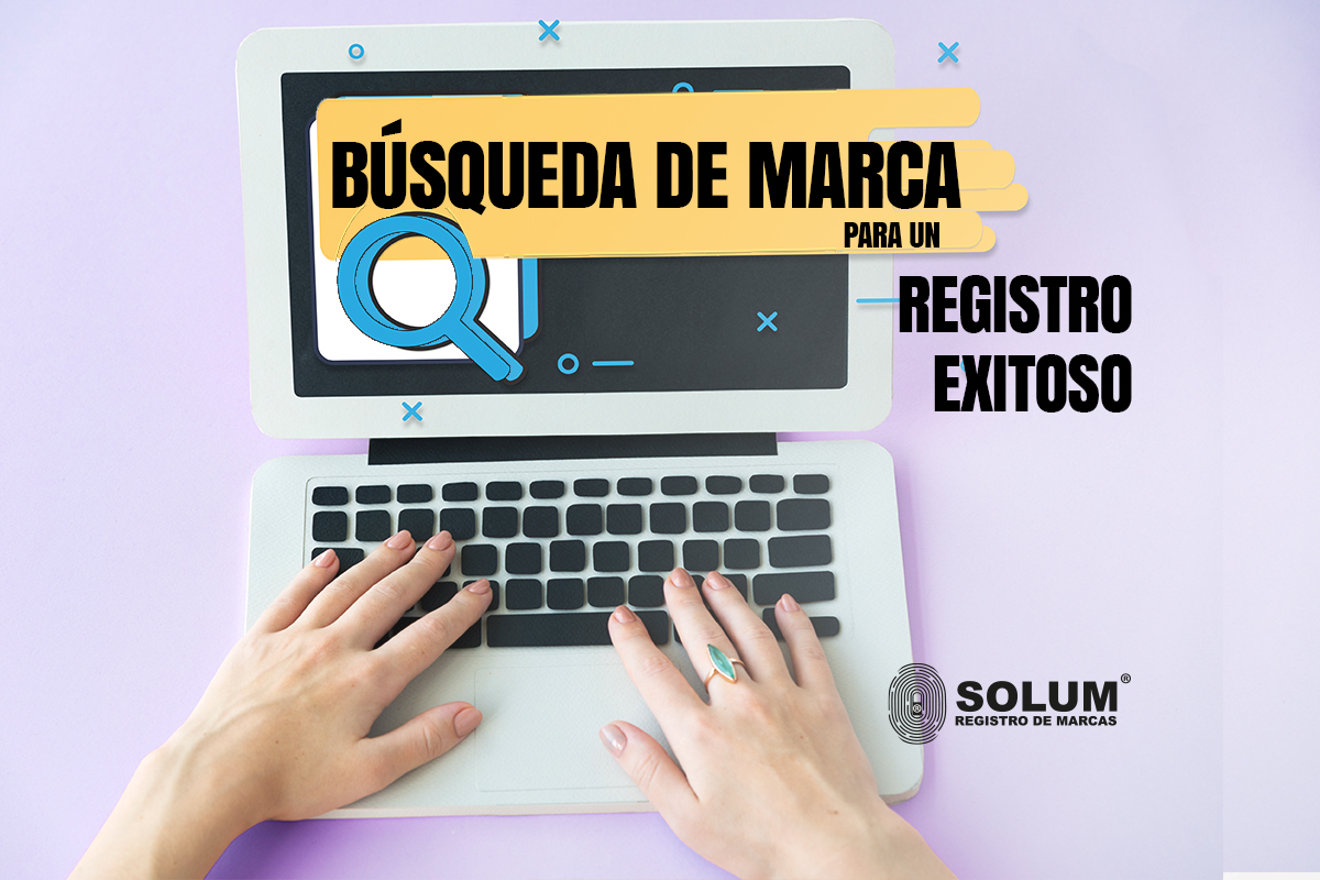 Busqueda de marca para un registro exitoso